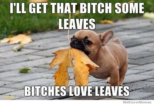 bitches love leaves